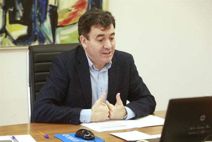 El conselleiro de Cultura e Turismo, Román Rodríguez, en una videoconferencia con el presidente de la Fegamp, Alberto Varela.