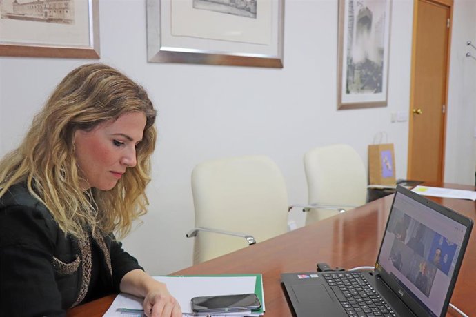La delegada del Gobierno de la Junta en Cádiz, Ana Mestre, durante la reunión telemática del Cecor