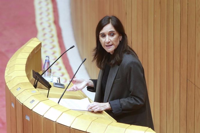 Carmen Pomar comparece en la Diputación Permanente de la Cámara gallega