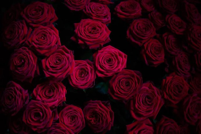 Rosas por Sant Jordi durante su preparación en la Floristería Pasanau, un día antes del Día del Libro 2020 durante el segundo mes de confinamiento por la crisis del coronavirus, en Barcelona/Catalunya (España) a 22 de abril de 2020.