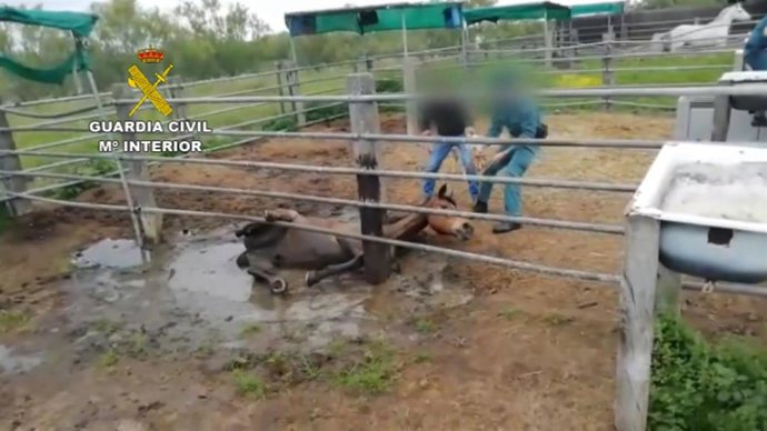 Vídeo de la noticia