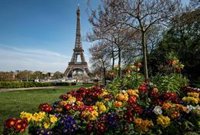 Hundimiento histórico de la actividad en Alemania y Francia por el Covid-19, según el PMI