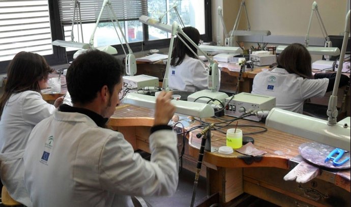 Alumnos de Formación Profesional en Andalucía.