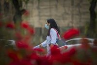 Investigadores españoles concluyen que entró en España a mediados de febrero