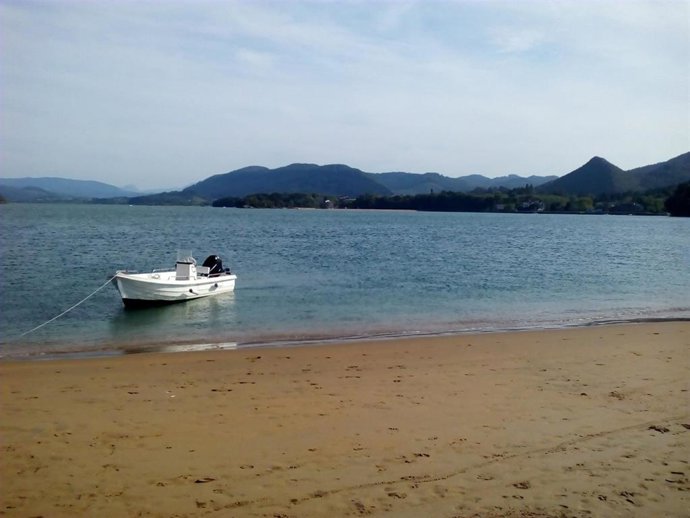 Playa en la Reserva de Urdaibai (Bizkaia)