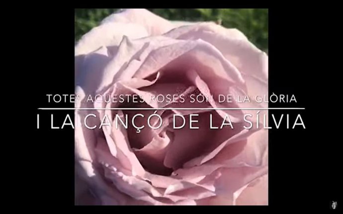 Sant Jordi.- Sílvia Pérez Cruz felicita la Diada amb nova canó
