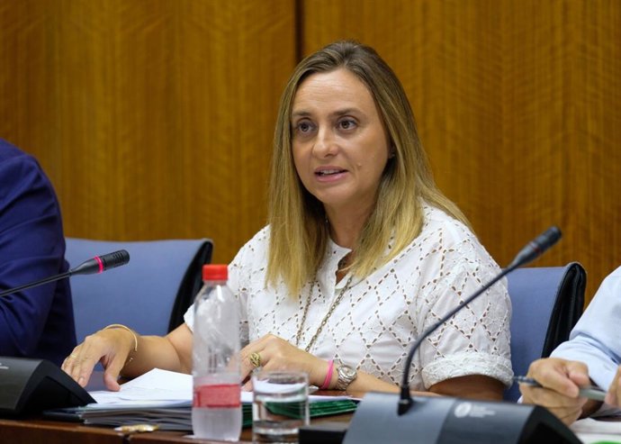 La consejera de Fomento, Infraestructuras y Ordenación del Territorio, Marifrán Carazo, en una imagen de archivo.