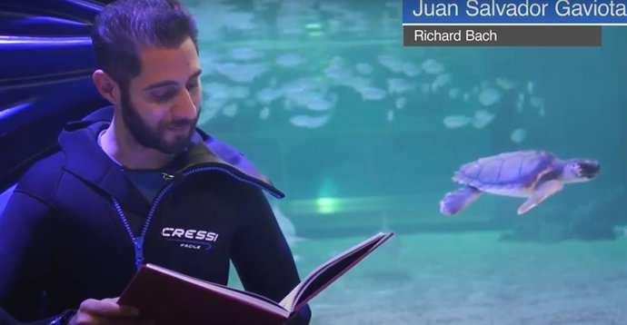 Uno de los cuidadores de l'Oceanogrfic leyendo un libro el 23 de abril