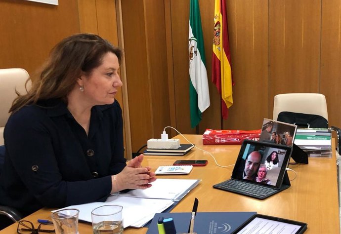 Coronavirus.- Crespo apuesta por agilizar trámites para ejecutar la inversión de