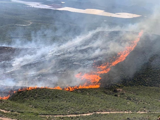 Incendio forestal en Cuevas del Almanzora (Almería)