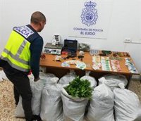 Cinco detenidos de un clan de Vícar por traficar con marihuana en el Poniente almeriense