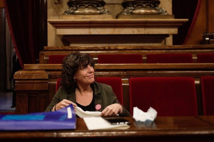 La consellera de Agricultura, ganadería y pesca de la Generalitat, Teresa Jord, en el pleno telemático del Parlament por el coronavirus