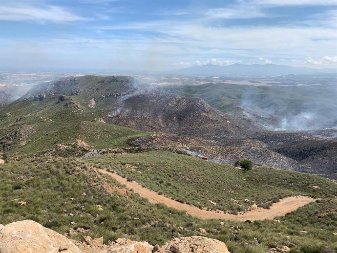 Extinción de un incendio forestal en Cuevas del Almanzora (Almería)