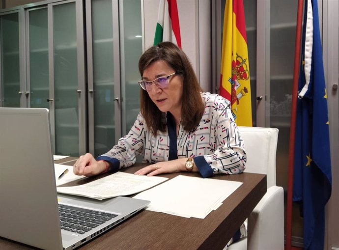 La consejera de Salud, Sara Alba, ha comparecido ante el Parlamento de La Rioja