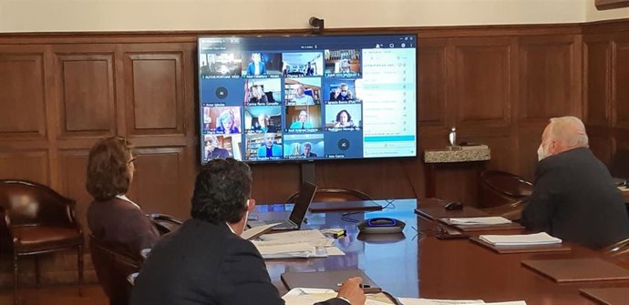 Reunión telemática del Consejo de Administración del Puerto celebrada el 24 de abril de 2020.