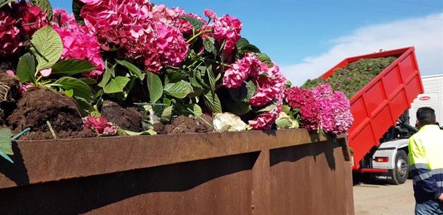 Plantas y flores en el vertedero de Ejido Medio Ambiente, en El Ejido (Almería)