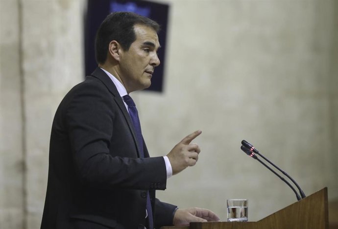 El portavoz del grupo parlamentario PP-A, José Antonio Nieto.