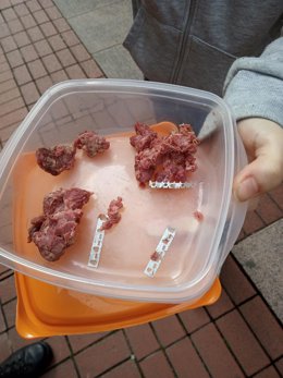 La Policía Local encuentra trozos de carne con veneno y materiales cortantes
