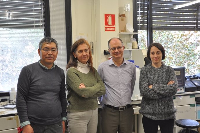 Los miembros del grupo de investigación  Biotecnologia Vegetal Aplicada, Teresa Capell y Paul Crhistou, en el centro de la imagen