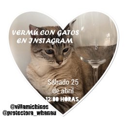 EVENTO EN INSTAGRAM DE DOS PROTECTORAS DE ANIMALES RIOJANAS