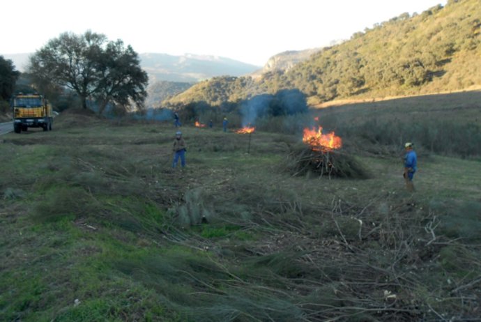 Almería.-Coronavirus.-La Junta levanta la suspensión de las quemas agrícolas ant
