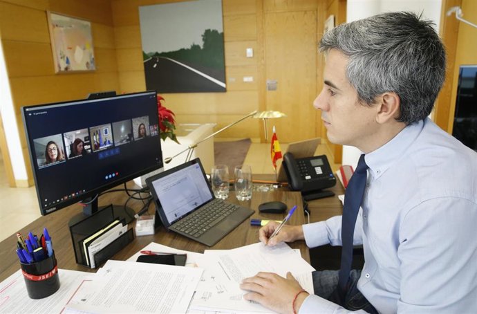 El vicepresidente y consejero de Universidades, Igualdad, Cultura y Deporte, Pablo Zuloaga, durante una reunión telemática