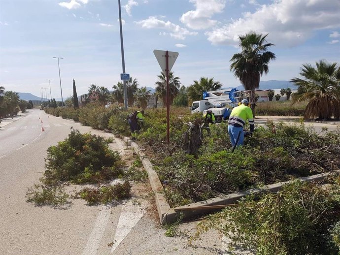 Los operarios trabajan en la limpieza de zonas verdes.