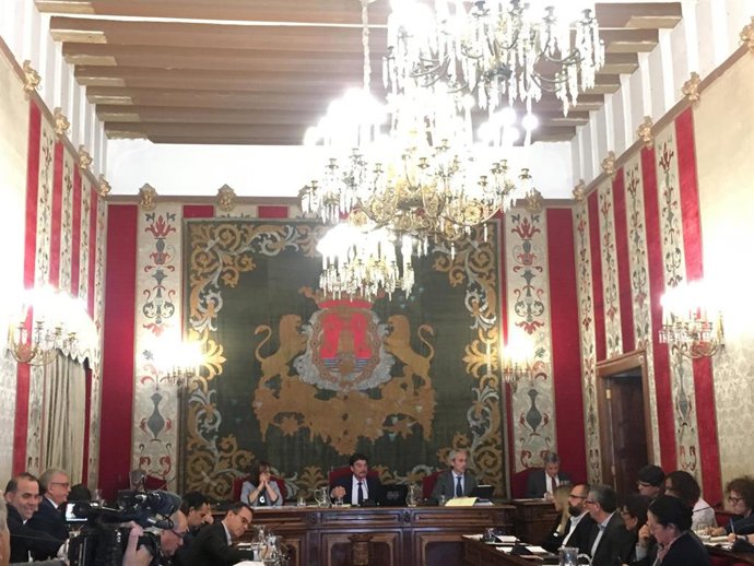 Pleno municipal de marzo
