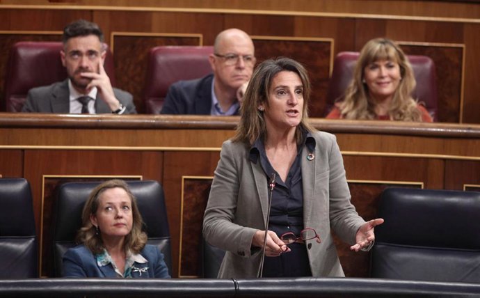 La vicepresidenta cuarta y ministra para la Transición Ecológica y el Reto Demográfico, Teresa Ribera, interviene en la sesión plenaria en el Congreso de los Diputados, Madrid (España), a 26 de febrero de 2020.
