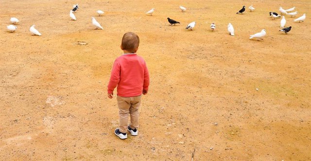 Un niño rn el primer día donde los niños han podido salir acompañado de un adulto. Sevilla a 26 de abril del 2020