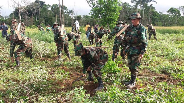 El Comando Estratégico Operacional de Bolivia (CEO) dedicado a la erradicación de los cultivos ilegales de hoja de coca.