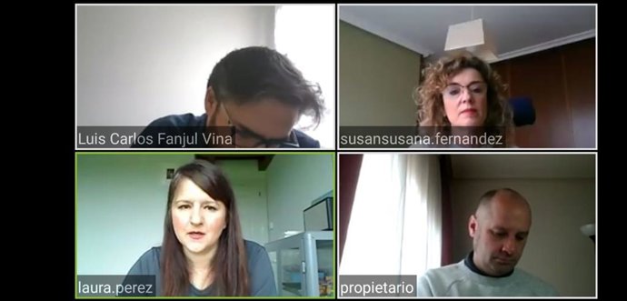 Captura de un momento de la videoconferencia de la portavoz de Ciudadanos, Laura Pérez Macho.