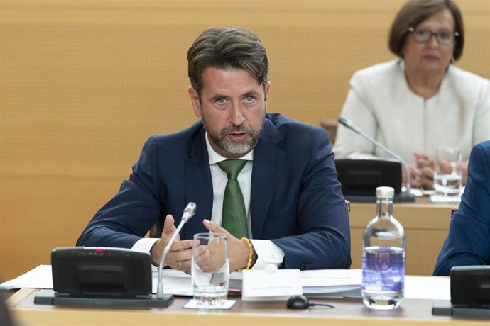 Carlos Alonso, portavoz de CC-PNC en el Cabildo de Tenerife