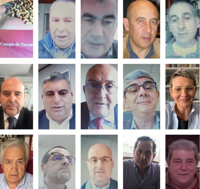 Captura de la vídeo conferencia para la firma del acuerdo para poner en marcha la plataforma 'Campo de Encuentro'