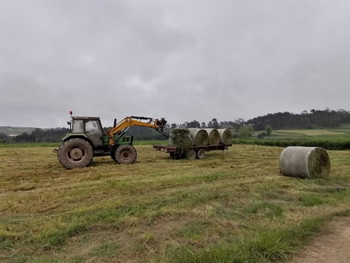 Trabajos en el campo, rural, agricultura, PAC, tractor.