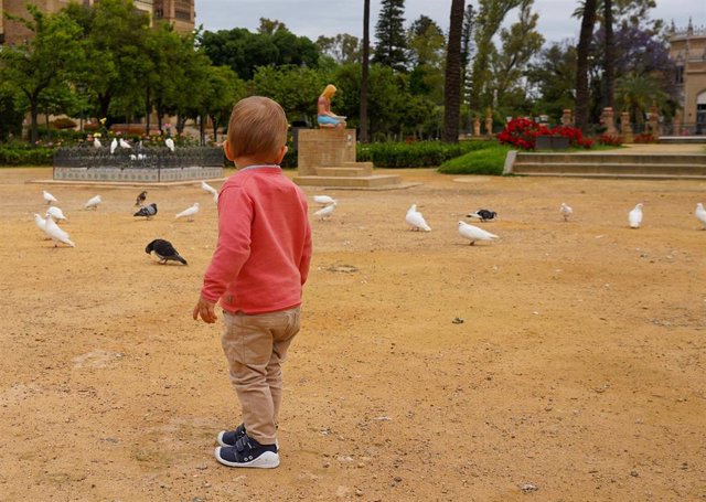 Un niño en la Plaza de América, conocida como la de las palomas del Parque de Maria Luisa de Sevilla