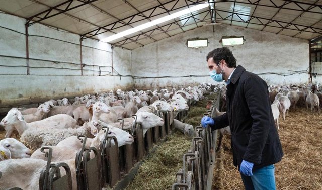 El líder del PP, Pablo Casado, visita una explotación agraria dedicada al sector ovino en Madrid. En Madrid, a 27 de abril de 2020.