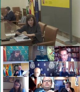 La delegada del Gobierno de España en Andalucía, Sandra García, en la reunión del Comité de Coordinación de Seguridad (Cecor)