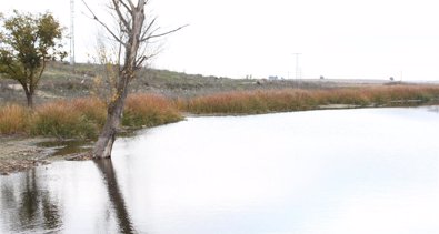 Castilla-La Mancha