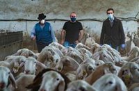 El PP cuestiona el puesto de España en ranking de la OCDE sobre test porque "son datos del gabinete de Sánchez"