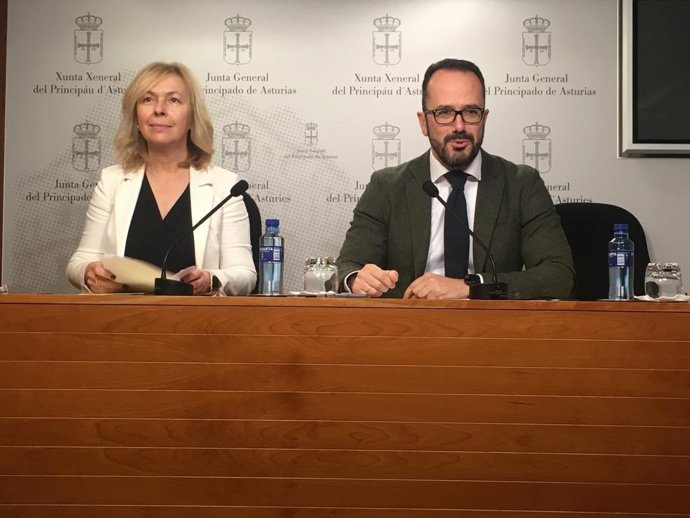 Los diputados de Vox en la Junta General Sara Álvarez Rouco e Ignacio Blanco