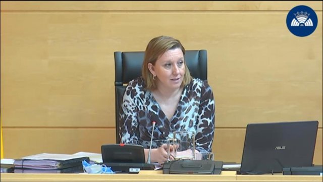 La consejera de Familia e Igualdad de Oportunidades de Castilla y León, Isabel Blanco, en su comparecencia en las Cortes para explicar sus actuaciones ante la pandemia de coronvirus.