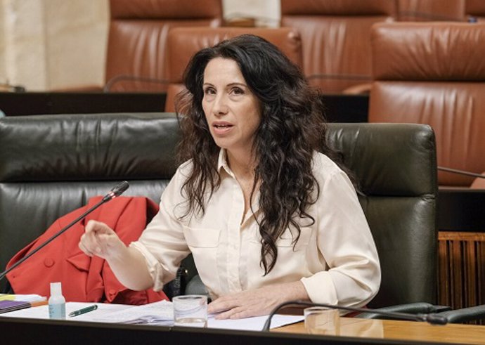 La consejera de Igualdad, Rocío Ruiz, durante su intervención este viernes ante la Diputación Permanente del Parlamento de Andalucía.