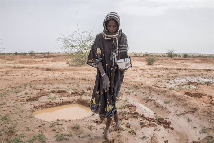 Una mujer plantando en la región de Tahoua, en Níger