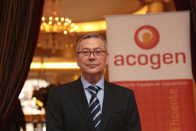 El presidente de la Asociación Española de Cogeneración (Acogen), Antonio Pérez Palacio.