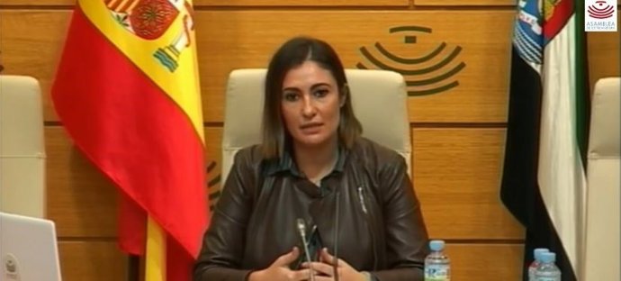 La portavoz del Grupo Socialista en la Asamblea de Extremadura, Lara Garlito, en rueda de prensa telemática sobre la EPA del primer trimestre del año en la región