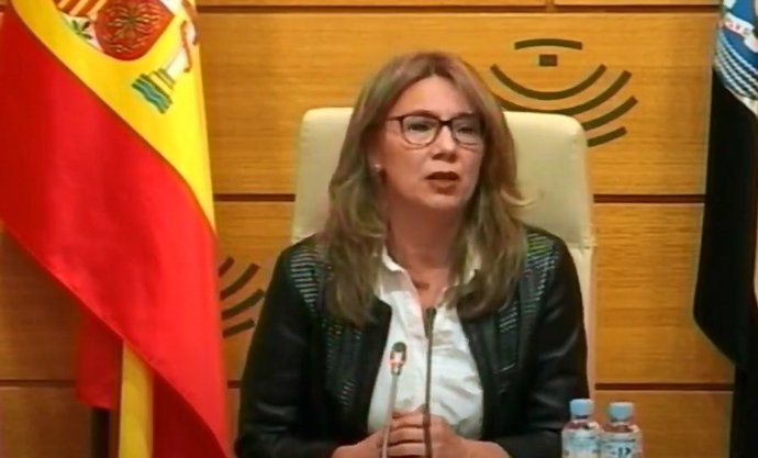 La portavoz del Grupo Popular en la Asamblea de Extremadura, Cristina Teniente, en rueda de prensa telemática para valorar los datos de la EPA del primer trimestre de 2020