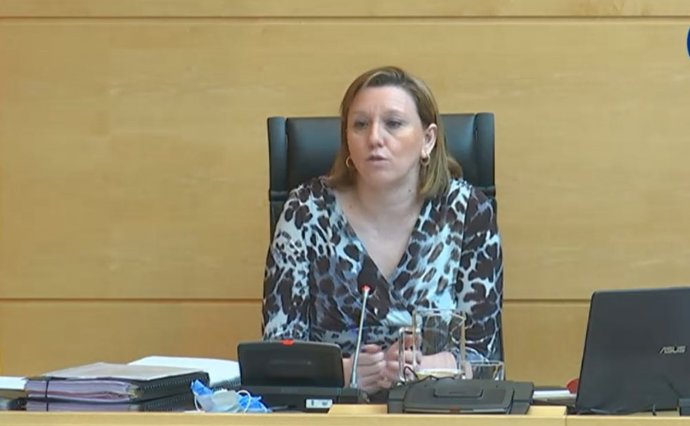 La consejera de Familia e Igualdad de Oportunidades, Isabel Blanco, comparece en las Cortes de Castilla y León.