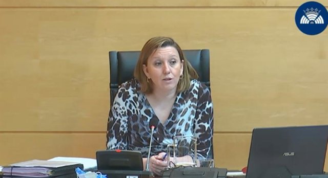 La consejera de Familia e Igualdad de Oportunidades de Castilla y León, Isabel Blanco, durante su comparecencia en las Cortes para explicar las actuaciones frente a la pandemia de coronavirus.