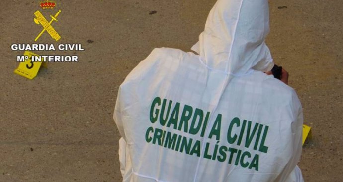 [Badajoz] Nota De Prensa Detenido Robo En Colegio Villasbuenas De Gata